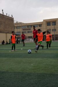آلبوم عمومی
